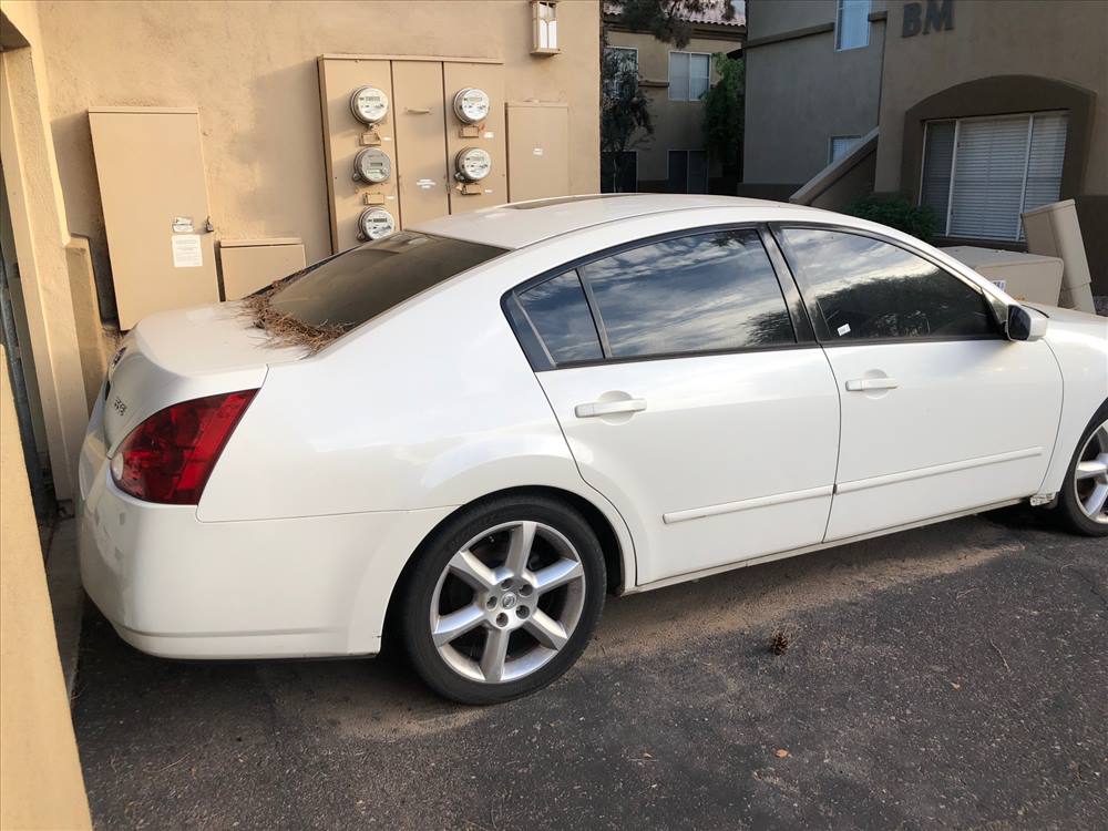 2006 Nissan Maxima